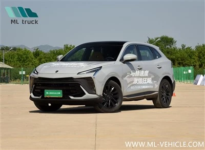 DongFeng Forthing T5 EVO